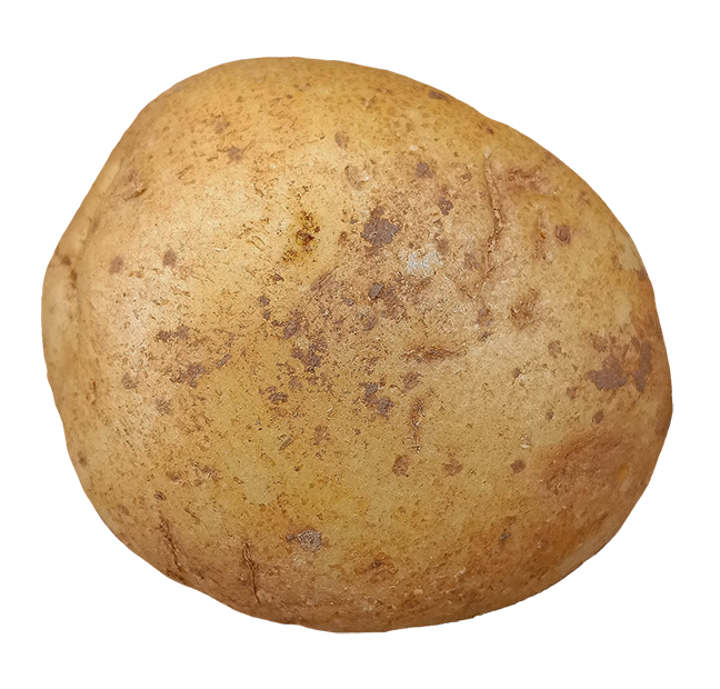 potato images, potato png, potato png image, potato transparent png image, potato png full hd images download